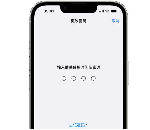 船营iPhone屏幕维修分享iPhone屏幕使用时间密码忘记了怎么办 