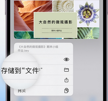 船营apple维修中心分享iPhone文件应用中存储和找到下载文件