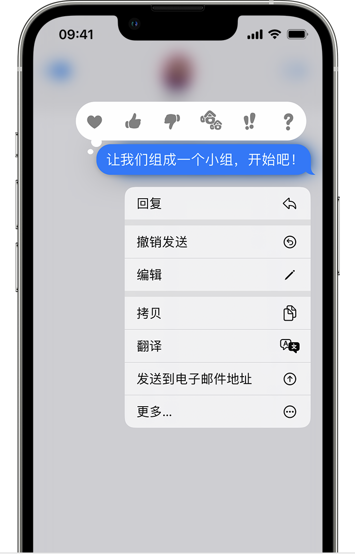 船营苹果手机维修分享iPhone 信息发送后多长时间内可以撤回或编辑 