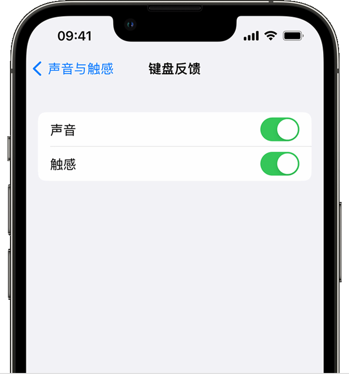 船营苹果14维修店分享如何在 iPhone 14 机型中使用触感键盘 