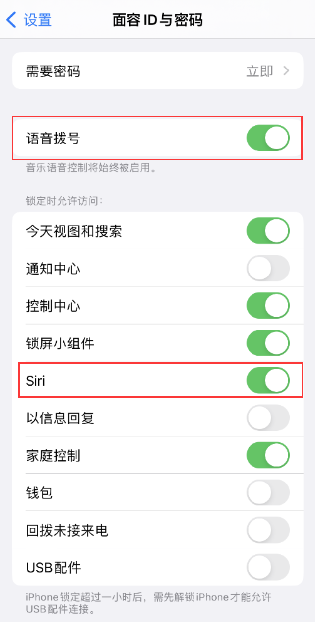 船营苹果维修网点分享不解锁 iPhone 的情况下通过 Siri 拨打电话的方法 