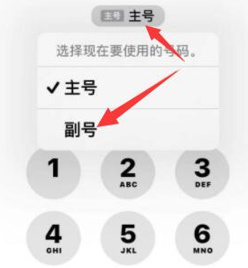 船营苹果14维修店分享iPhone 14 Pro Max使用副卡打电话的方法 