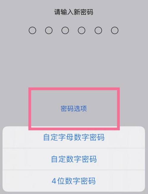 船营苹果14维修分享iPhone 14plus设置密码的方法 