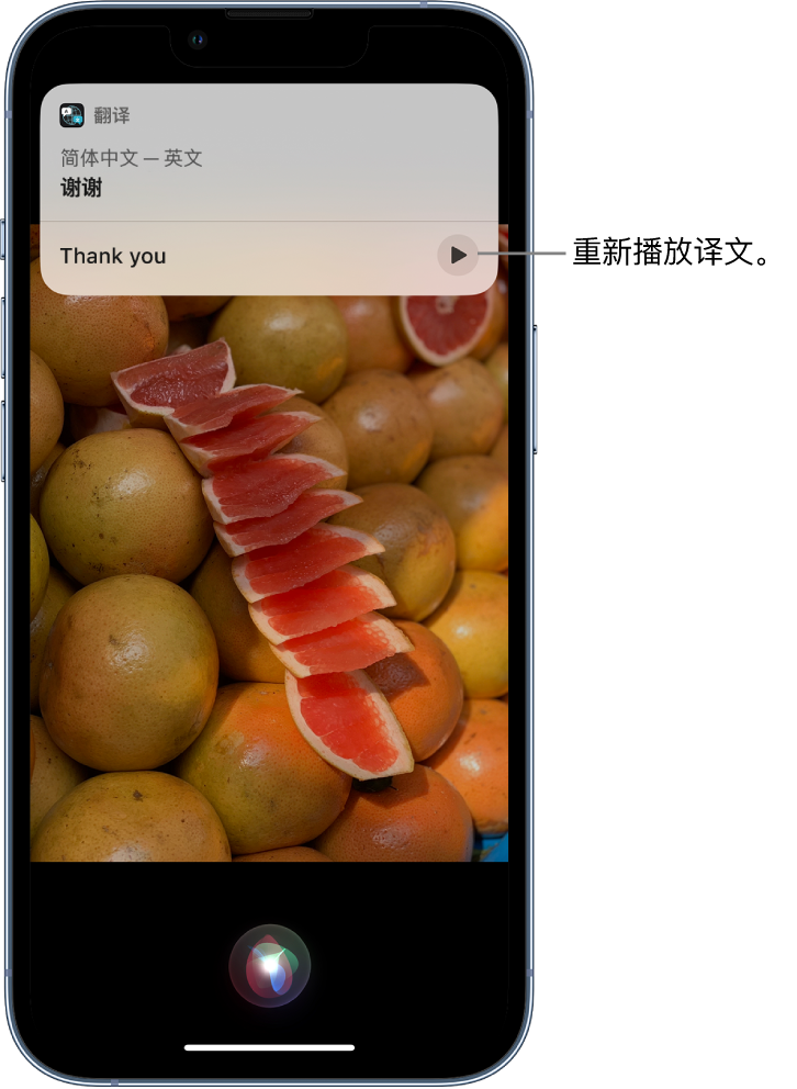 船营苹果14维修分享 iPhone 14 机型中使用 Siri：了解 Siri 能帮你做什么 