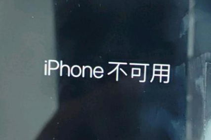 船营苹果服务网点分享锁屏界面显示“iPhone 不可用”如何解决 