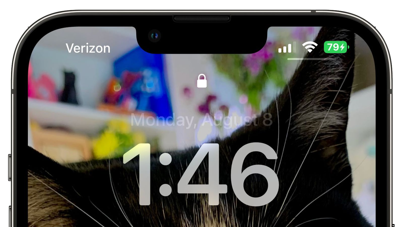 船营苹果手机维修分享iOS 16 beta 5 支持状态栏显示电池百分比，如何开启？支持哪些机型 
