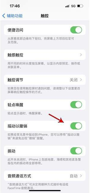 船营苹果手机维修分享iPhone手机如何设置摇一摇删除文字 