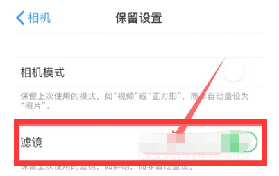 船营苹果13维修分享iPhone13拍照有绿点是怎么回事 