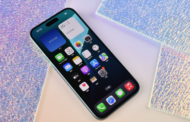 船营苹果手机维修分享为什么大家不喜欢苹果iPhone 16 Plus 