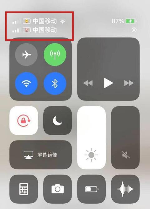 船营苹果手机维修分享为 iPhone 12 双卡设置标签 